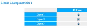 enquete-champ-matriciel
