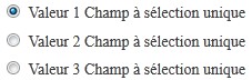 Styles des valeurs des champs à sélection simple Styles des valeurs des champs à sélection simple