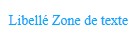 Styles des libellés des zones de textes Styles des libellés des zones de textes