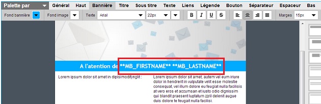 editeur-rapide-codes-de-personnalisation