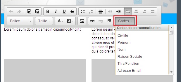 editeur-rapide-etape3-barre-d-edition-de-l-editeur-rapide-codes