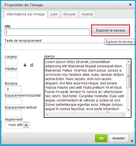 Insérer une image dans Message Business explorer-le-serveur-editeur-rapide