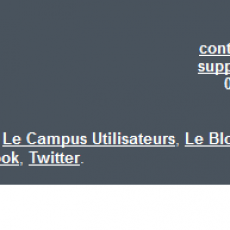 Bas de la newsletter Message Business incitant à devenir ami