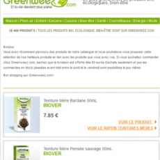 Emailing de relance Greenweez