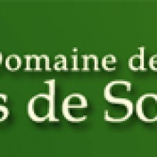 domaineportedesologne-logo