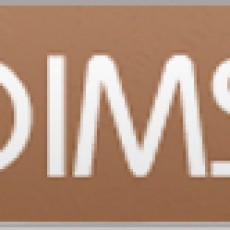 logo_client_dimsi