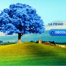 La Fevad