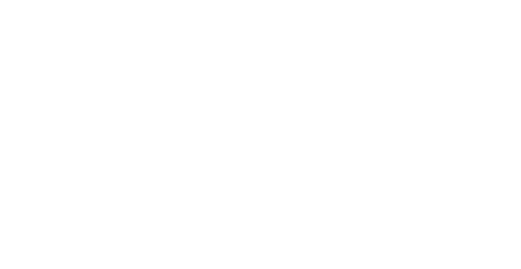 Data Management Platform (DMP)