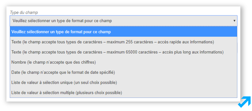 Capture d'écran de l'application Message Business représentant divers types de champs