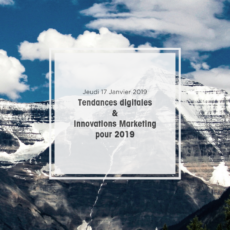 Tendances digitales 2019